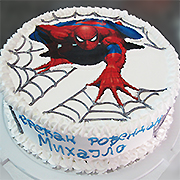 DJEČIJE ROĐENDANSKE TORTE