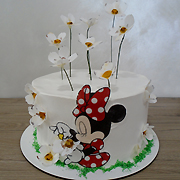 DJEČIJE ROĐENDANSKE TORTE