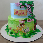 DJEČIJE ROĐENDANSKE TORTE