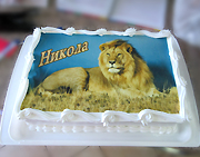 DJEČIJE ROĐENDANSKE TORTE